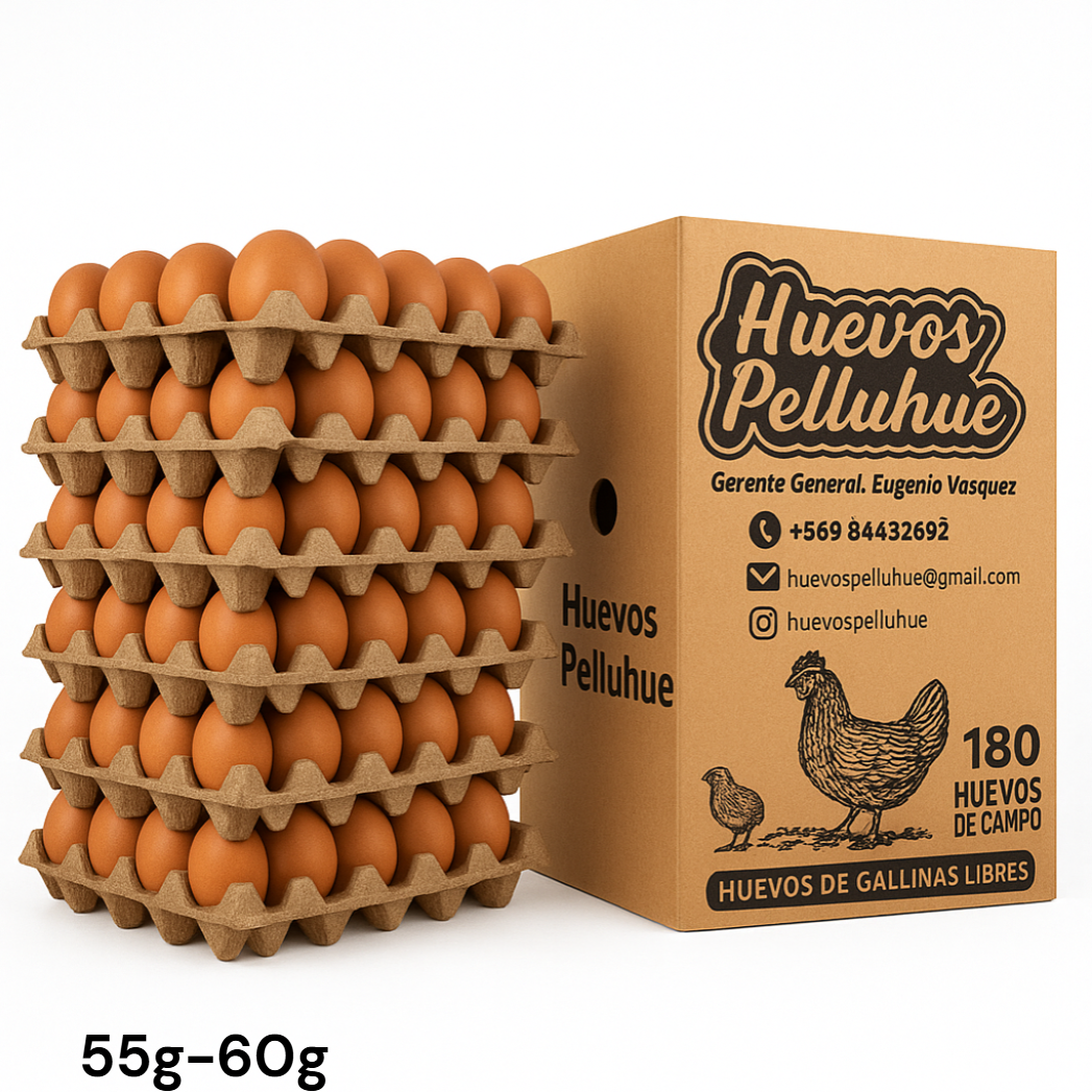 Caja de huevos primera cafe UNID