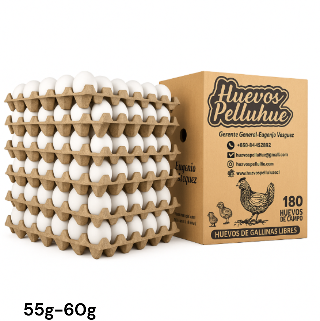 Caja de huevos primera blanca UNID