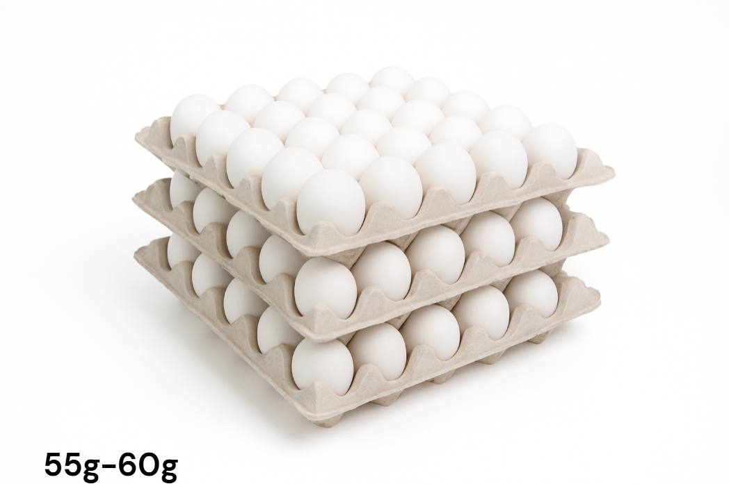 Pack Huevos Primera Blancos Bandeja x3