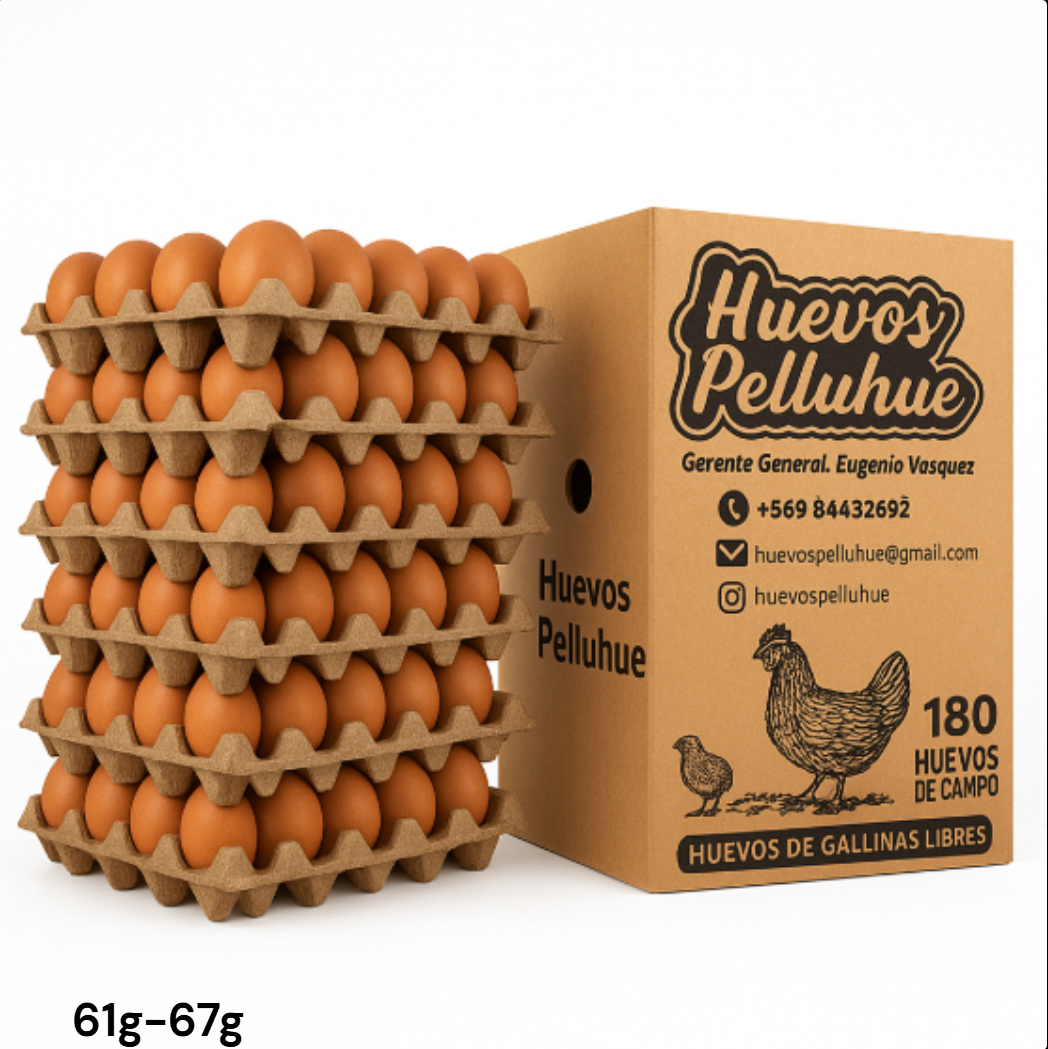 Caja de huevos Extra Cafe UNID