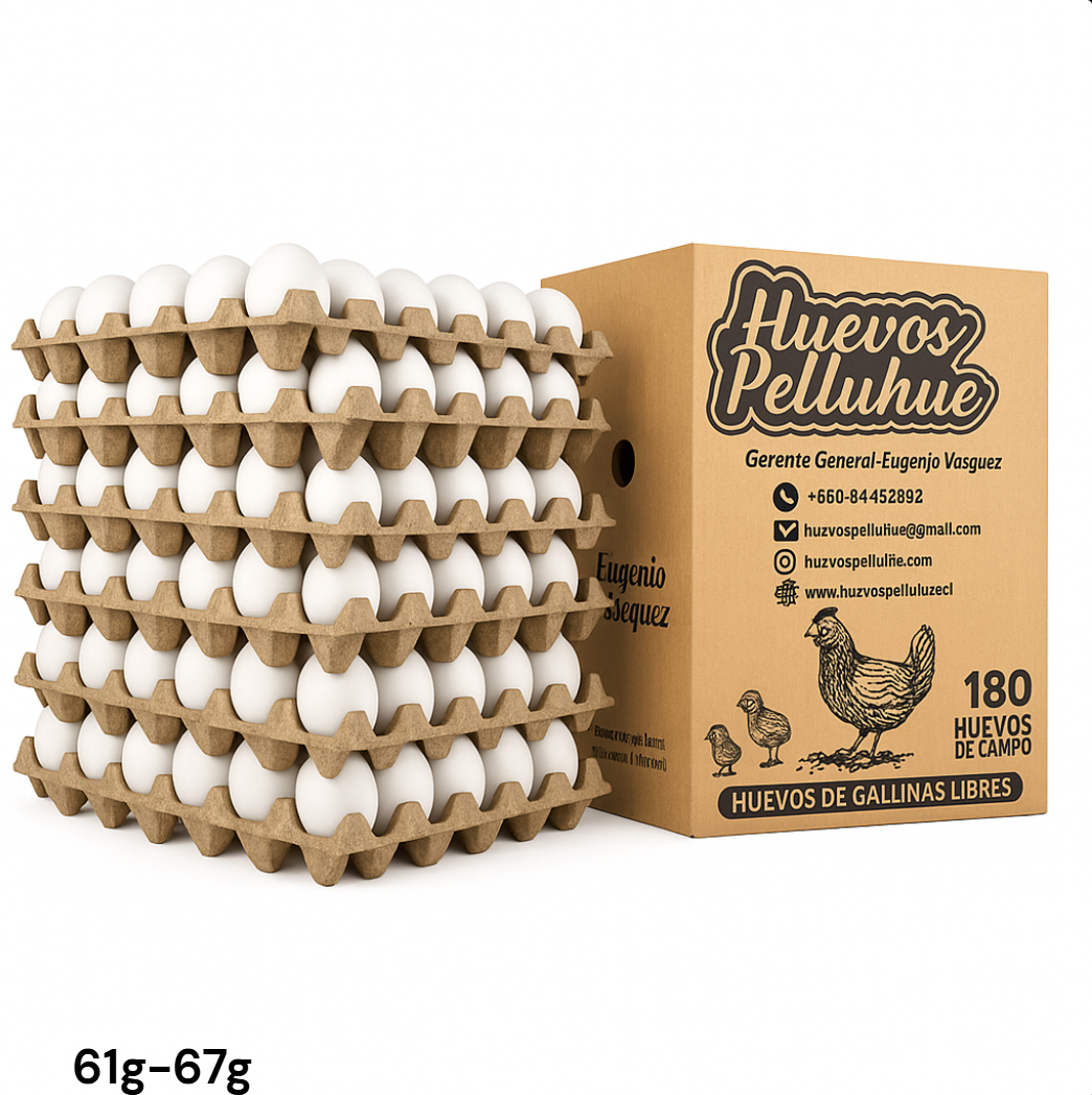 Caja de huevos Extra Blanco UNID