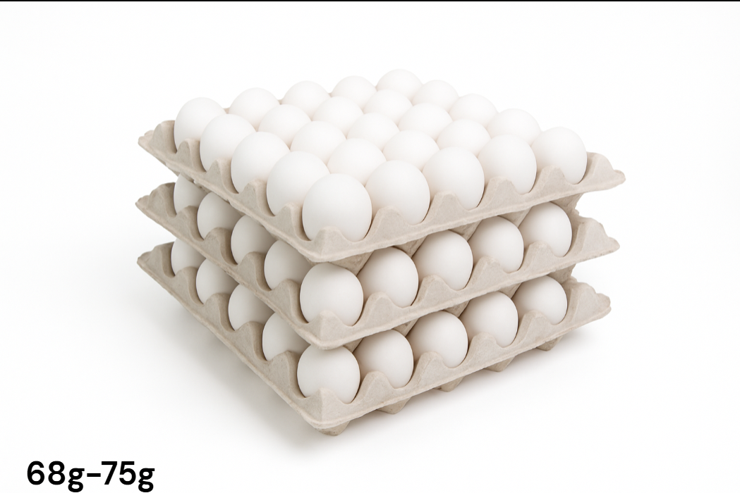 Pack Huevos Super Blanca Bandeja x3