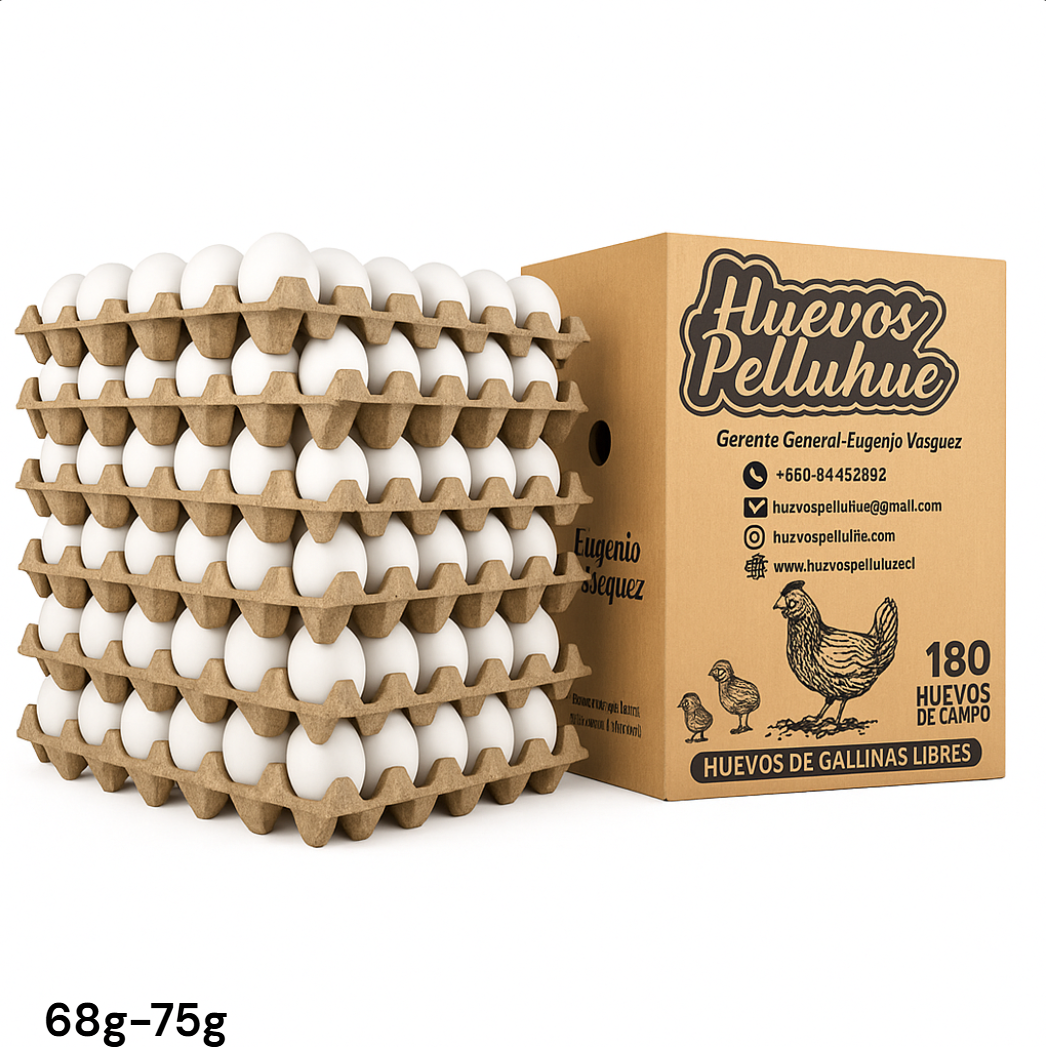 Caja de huevos Super blanca UNID