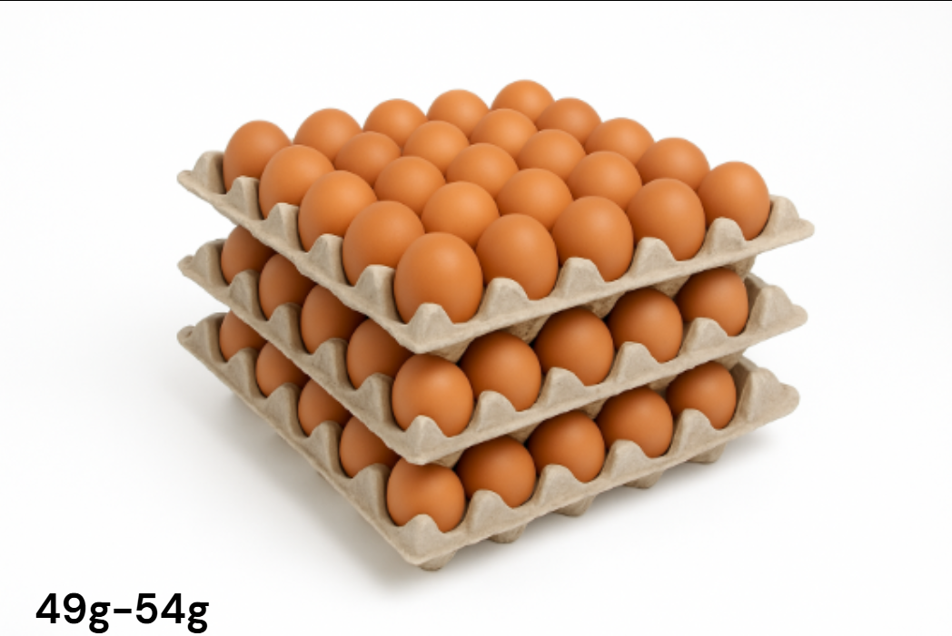 Pack Huevos Segunda Cafe Bandeja x3