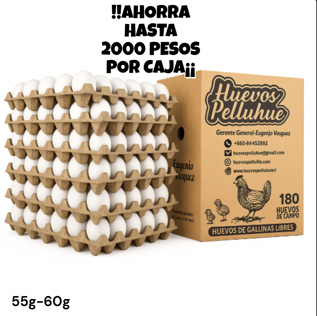Pack de 10 cajas de huevos Primera Blancos