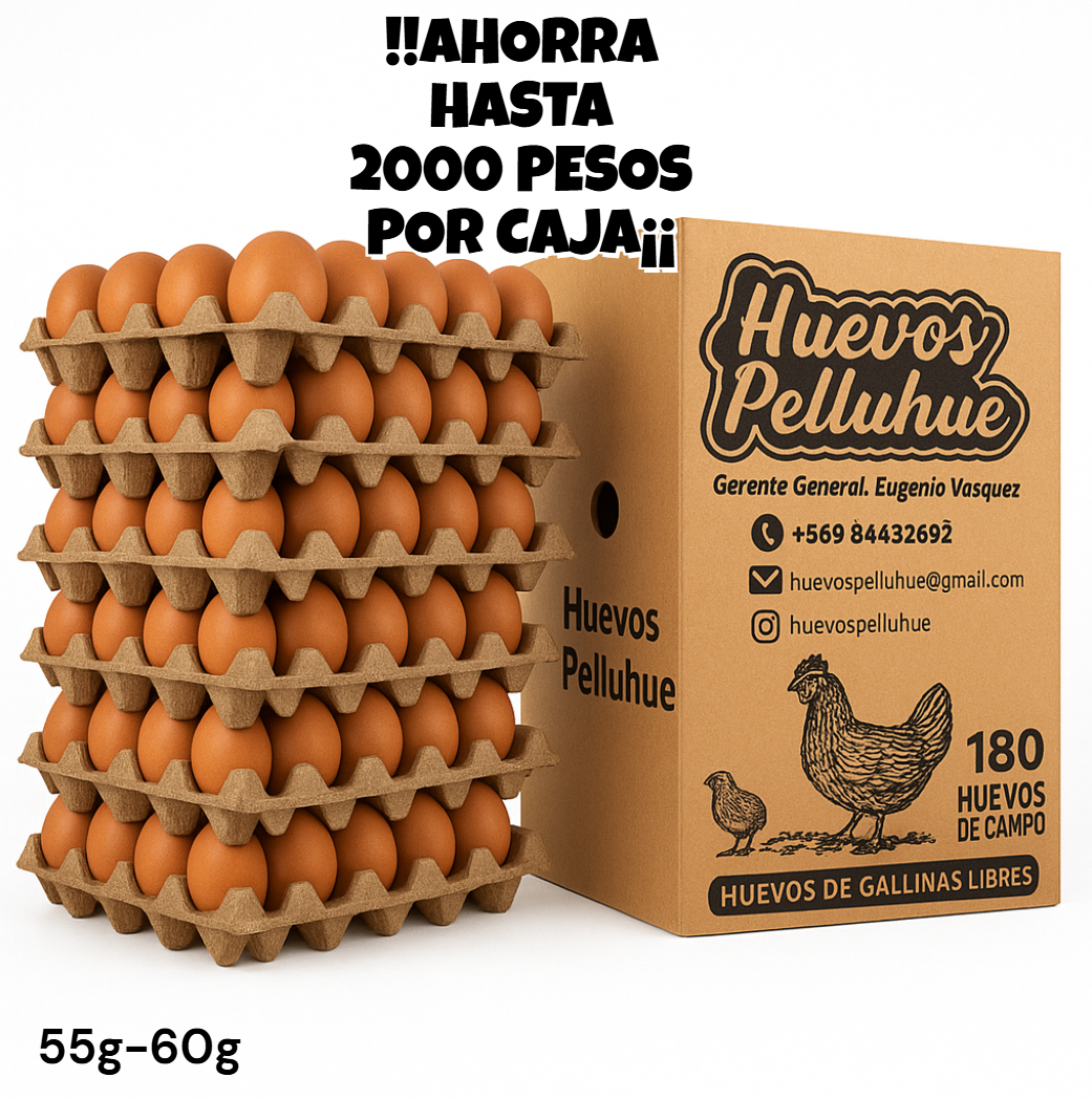 Pack de 10 cajas de huevos Primera Cafe