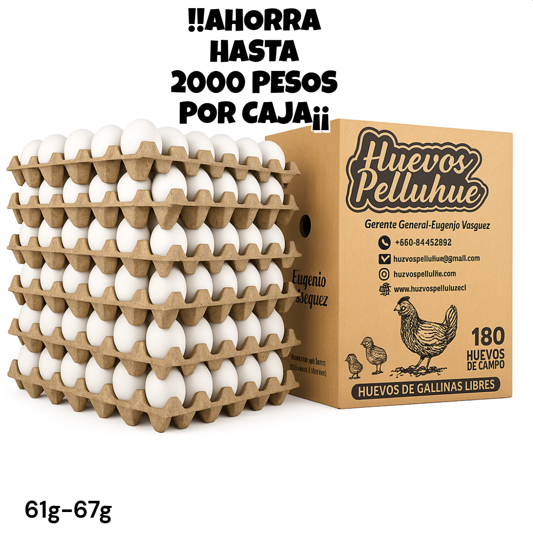 Pack de 10 cajas de huevos Extra Blanco